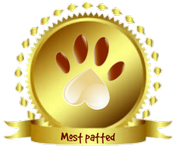 a most patted award